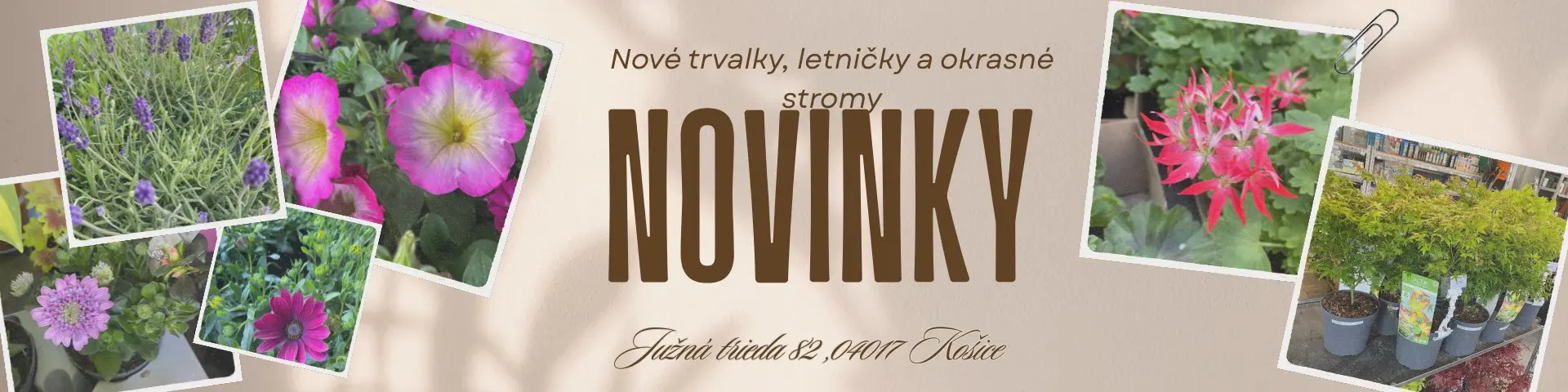 Novinky na predajni :)